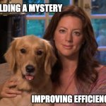 Improving Efficiencies | BUILDING A MYSTERY; IMPROVING EFFICIENCIES | image tagged in sarah mclachlan | made w/ Imgflip meme maker