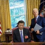 Dim sum with dim wit