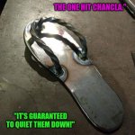 Stainless Steel Chancla | THE ONE HIT CHANCLA."; "IT'S GUARANTEED TO QUIET THEM DOWN!" | image tagged in stainless steel chancla | made w/ Imgflip meme maker