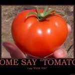 Buff tomato meme