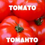 Tomato tomahto