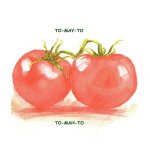 Tomato tomahto