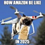 pug delivering amazon boxes | HOW AMAZON BE LIKE IN 2025 | image tagged in flying pug,pugs,amazon | made w/ Imgflip meme maker