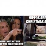 Hippos are Christmas | HIPPOS ARE CHRISTMAS AF. HIPPOS HAVE NOTHING TO DO WITH CHRISTMAS!!!!!!! | image tagged in angry woman and cat | made w/ Imgflip meme maker