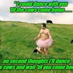 "Dance with you" | " I could dance with you
 'til the cows come home . . . . . . . .on second thoughts i'll dance with the cows and wait 'til you come home". | image tagged in dance with you | made w/ Imgflip meme maker
