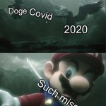 Dab the doge always wins haha | Doge; Covid; 2020; Such miss | image tagged in sephiroth impaling mario in smash | made w/ Imgflip meme maker