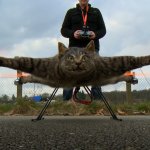 cat drone