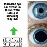 look | THE MEME ABOVE ME | image tagged in human eye,funny memes | made w/ Imgflip meme maker