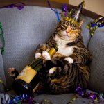 Party Cat (new year template)