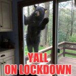 Curious Bear | YALL ON LOCKDOWN STILL? | image tagged in black bear on porch railing looking in sliding glass door,brown bear,bear,looking | made w/ Imgflip meme maker