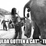 Tide Fan | "I SHOULDA GOTTEN A CAT" - TIDE FAN | image tagged in elephant poop bad day | made w/ Imgflip meme maker