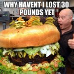 biggest burger | WHY HAVENT I LOST 30 
POUNDS YET | image tagged in big burger | made w/ Imgflip meme maker