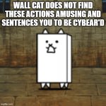 Wall Cat does not find these actions amusing