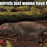 yeah, squirrels just wanna have fun. oh squirrels just wanna have fun | Squirrels just wanna have fun | image tagged in megaconus,squirrels,memes,lol | made w/ Imgflip meme maker