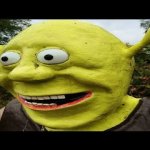 Surprised Shrek meme
