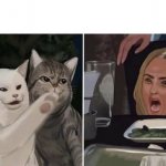 Cat yelling at woman meme