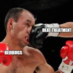 Heat Treatment Beatdown | HEAT TREATMENT; BEDBUGS | image tagged in face punch,bedbugs,beat down,punch,heat,boxing | made w/ Imgflip meme maker