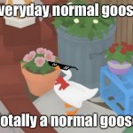 Totally normal goose | Everyday normal goose; Totally a normal goose | image tagged in goose,totally normal,swag | made w/ Imgflip meme maker