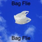 Bag Flie | Bag Flie; Bag Flie | image tagged in litter,bag flie,barney will eat all of your delectable biscuits | made w/ Imgflip meme maker
