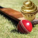 Cricket Cupcake