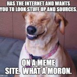 funny dog | HAS THE INTERNET AND WANTS YOU TO LOOK STUFF UP AND SOURCES. ON A MEME SITE.  WHAT A MORON. | image tagged in funny dog | made w/ Imgflip meme maker