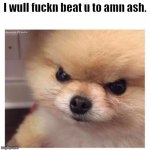 I will fucking beat you to an ash