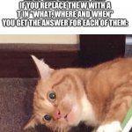 That, There, Then | NOBODY:; ME AT 3AM REALIZING THAT IF YOU REPLACE THE W WITH A T IN "WHAT, WHERE AND WHEN" YOU GET THE ANSWER FOR EACH OF THEM: | image tagged in sudden realization cat | made w/ Imgflip meme maker