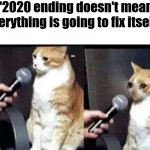 Crying Cat Interview Horizontal | "2020 ending doesn't mean everything is going to fix itself." | image tagged in crying cat interview horizontal | made w/ Imgflip meme maker