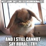 embarrassed bunny | I TRIED TO SAY ABOLITIONIST FIVE TIMES REALLY FAST AND IT JUST CAME OUT LIKE ASSHGHMINIMALIST. AND I STILL CANNOT SAY RURAL.  TRY IT.  IT'S REALLY HARD. | image tagged in embarrassed bunny | made w/ Imgflip meme maker