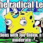 Joe Biden The radical Left 2 meme