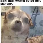 PTSD Chihuahua | Me in 20 years:
Son: dad, what's 1010+1010
Me: 202- | image tagged in ptsd chihuahua | made w/ Imgflip meme maker