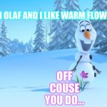 Summertime | HI IM OLAF AND I LIKE WARM FLOWERS; OFF COUSE YOU DO... | image tagged in frozen by disney | made w/ Imgflip meme maker