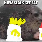 How seals get fat | HOW SEALS GET FAT | image tagged in fat seal with interlocked hands | made w/ Imgflip meme maker