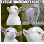 SHEEP | 6 YEAR OLD ME AFTER MAKING UP CRAZY WORDS AND CALLING IT MY LANGUAGE | image tagged in proud lamb,sheep,lamb | made w/ Imgflip meme maker