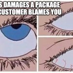 eye roll | WHEN UPS DAMAGES A PACKAGE AND THE CUSTOMER BLAMES YOU | image tagged in eye roll,customer service,annoying customers,office humor,office,customer | made w/ Imgflip meme maker