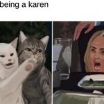 Cat yelling at woman | Stop being a karen | image tagged in cat yelling at woman | made w/ Imgflip meme maker