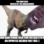 good luck m8 | YOU HAVE BEEN VISITED BY THE NIBBASAURUS; YOU NOW HAVE GOOD LUCK FOR THE NEXT 24 HOURS
NO UPVOTES NEEDED FOR THIS :) | image tagged in nigersaurus | made w/ Imgflip meme maker
