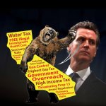 Recall Newsom meme