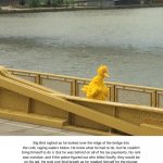 Big Bird's Final Thoughts | Big Bird sighed as he looked over the edge of the bridge into the cold, raging waters below. He knew what he had to do, but he couldn't bring himself to do it. But he was behind on all of his tax payments, his rent was overdue, and if the police figured out who killed Snuffy, they would be on his tail. He took one final breath as he readied himself for the plunge, tying weights to his feet as he did so. He was ready now; more than he had ever been, perhaps. | image tagged in sad big bird,suicide,bridge,water,snuffy | made w/ Imgflip meme maker