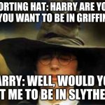 Harry Potter sorting hat | SORTING HAT: HARRY ARE YOU SURE YOU WANT TO BE IN GRIFFINDOR? HARRY: WELL, WOULD YOU WANT ME TO BE IN SLYTHERIN? | image tagged in harry potter sorting hat | made w/ Imgflip meme maker