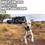 Dog | DOG: SLEEPS
OWNER: COME HERE
DOG: (SLEEPS)
OWNER: SHAKES BOWL
DOG: | image tagged in funny | made w/ Imgflip meme maker