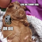 Give the boy a tummy rub | GIVE ME TUMMY RUB; OR DIE | image tagged in memes | made w/ Imgflip meme maker