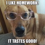 Once you get past the dryness, it’s really not bad! | I LIKE HOMEWORK! IT TASTES GOOD! | image tagged in smarty dog,dog,glasses,homework | made w/ Imgflip meme maker