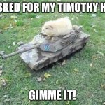 Guinea Pig Tank | I ASKED FOR MY TIMOTHY HAY; GIMME IT! | image tagged in guinea pig tank,timothy hay,guinea pig,cute | made w/ Imgflip meme maker