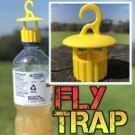 Chinese Fly Trap