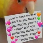 alec dkfjd meme