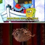 what happend to mr.puff? meme