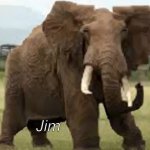 Jim