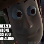 This meme again? | WHEN I SNEEZED AND SOMEONE SAID BLESS YOU BUT I'M HOME ALONE | image tagged in woody stare | made w/ Imgflip meme maker