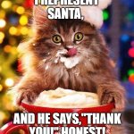 Christmas-cat | I REPRESENT SANTA, AND HE SAYS,"THANK YOU!" HONEST! | image tagged in christmas-cat | made w/ Imgflip meme maker